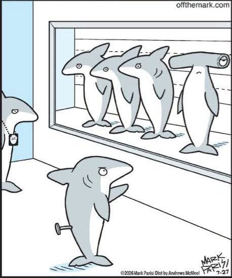 Georgemummysboy's tweet photo. 🤣😂🤣, 🦈 https://t.co/gvt3BOqFt0
