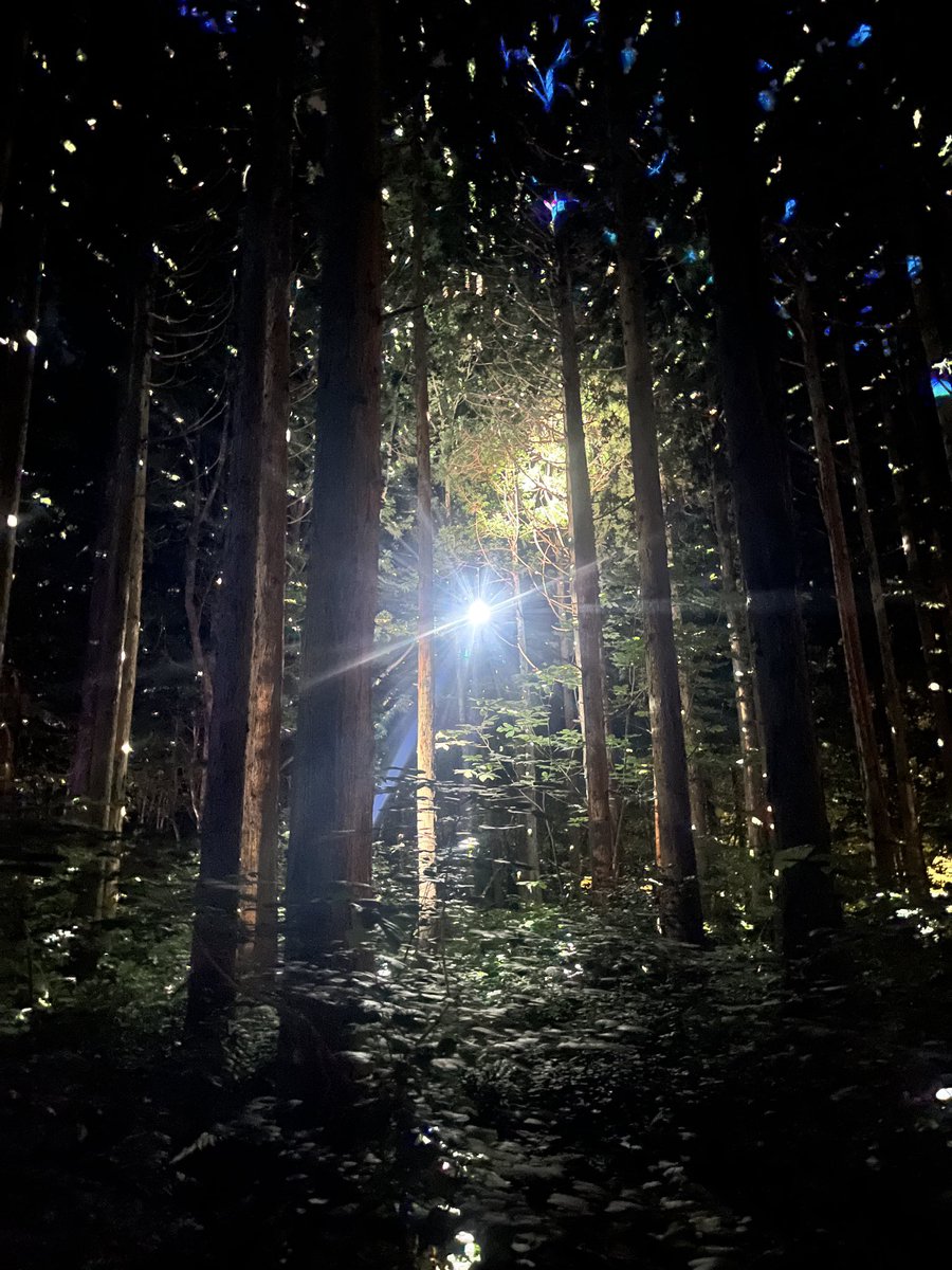 ruff_imp's tweet photo. A dream called Fuji Rock.🌈💚⛰️
#FUJIROCK #TOMORA #XG #JVB https://t.co/1YuV0oL56K