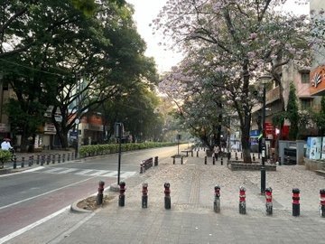 InfraholicR's tweet photo. India when our Municipalities do their work honestly https://t.co/cWHfnq3zyb