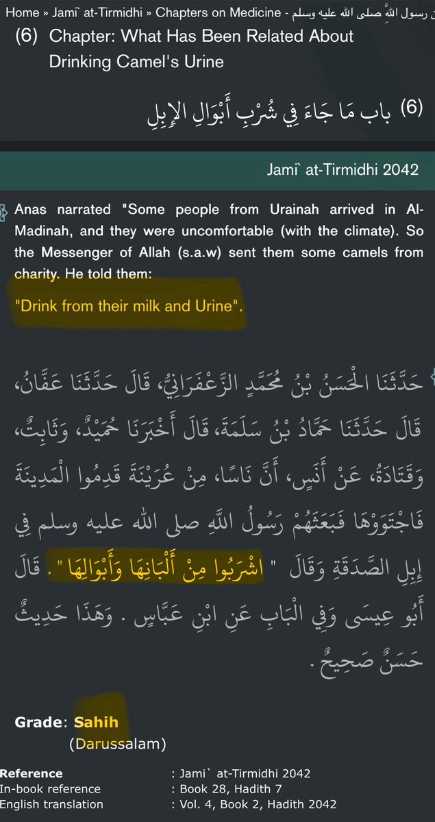 RationalismRule's tweet photo. @alexkarvos98 @Ahraz__ Bible: “Milk and Honey”

Mohammad: “Milk and Urine”😋 https://t.co/CK2qZ2Bsqf