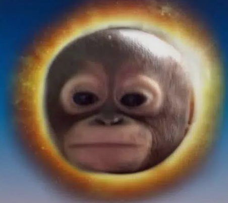 Tuffdevonchain tweet picture