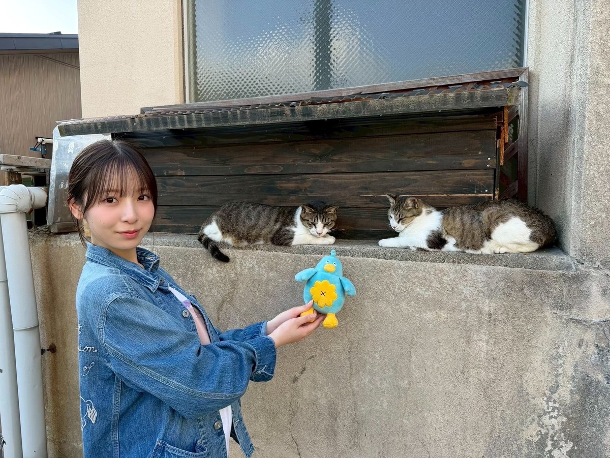 hinatazaka46's tweet photo. 【ブログ更新☀️ ポカ】 りなし供給 https://t.co/A9uYkglYzb #日向坂46 #ポカ https://t.co/oRz3I3BnKJ