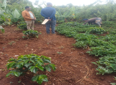 cjifa_'s tweet photo. Supported by the Climate Justice Impact Fund for Africa (CJIFA), this Cohort 5 initiative demonstrates the power of locally led climate action. When communities drive solutions, they create lasting impacts for people, nature, and future generations. #CJIFA #LocalClimateSolutions https://t.co/K5vSjUapTJ