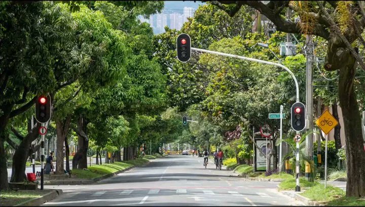 NightSkyToday's tweet photo. JUST IN🚨: A City in Colombia reduced temperatures by 5°C by planting 880,000 trees along the streets of its cities. https://t.co/KrVB0CyphS