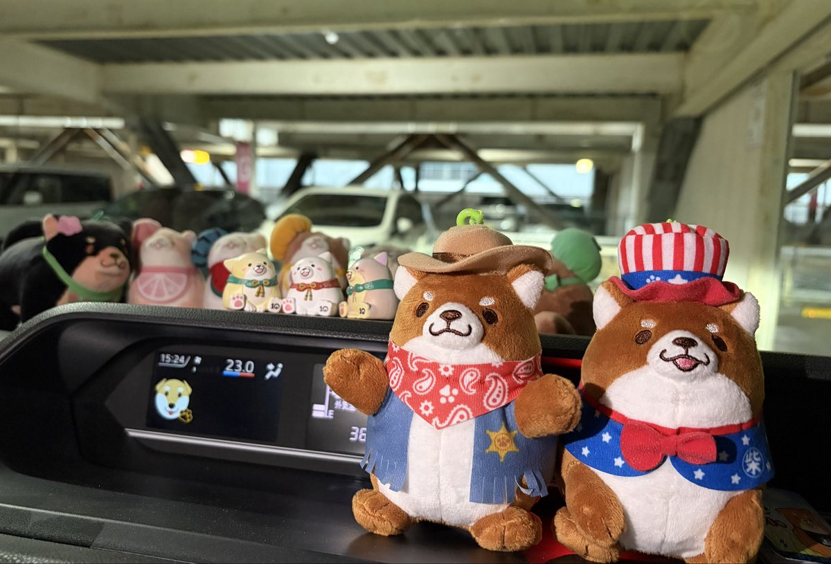 nekofeti's tweet photo. とっっってもひさびさ
お迎え出来ましたー
#忠犬もちしば　USA https://t.co/cWawpTrJWN