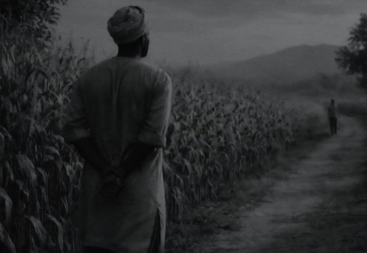 Literarium24's tweet photo. "The man who marries a beautiful woman and the farmer who grows corn by the roadside both have the same problem."

—African proverb https://t.co/9vDHNV9Cwc