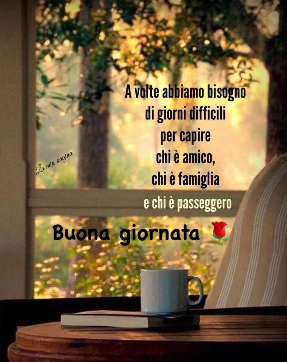 GiampBaracchi's tweet photo. @19donatella2 https://t.co/MFNscMgvHg