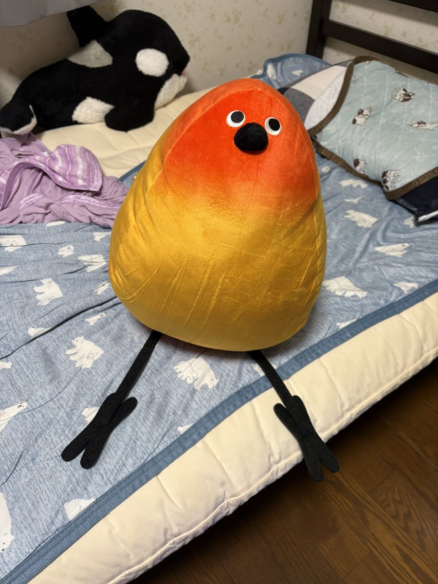 Chomotimoti's tweet photo. おはようございます！昨日5時まで起きて気づいたらこんな時間に💦昨日はあんまりVRChatできなかったから今日こそ！写真も取るぞ！！お写真取れなかったからうちの鳥ちゃんをどうぞ https://t.co/XqGYfQUQ6v