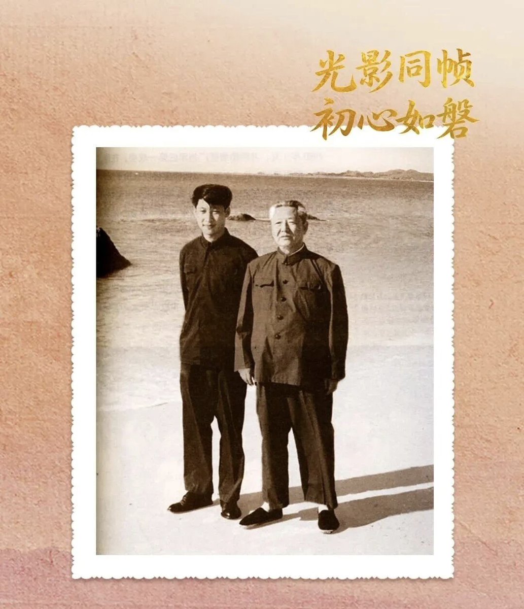孤狼(互fo💯) tweet media