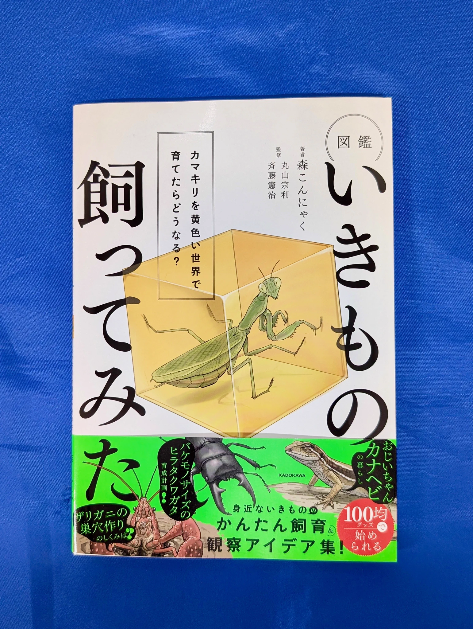 知遊堂 on X: 