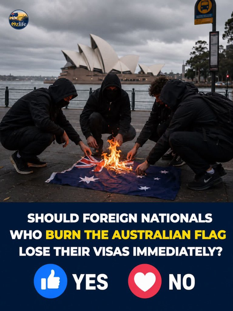 SupportPauline's tweet photo. Should Foreign Nationals Lose Their Visa for Burning the Australian Flag? 🇦🇺 https://t.co/j54bqydQvN