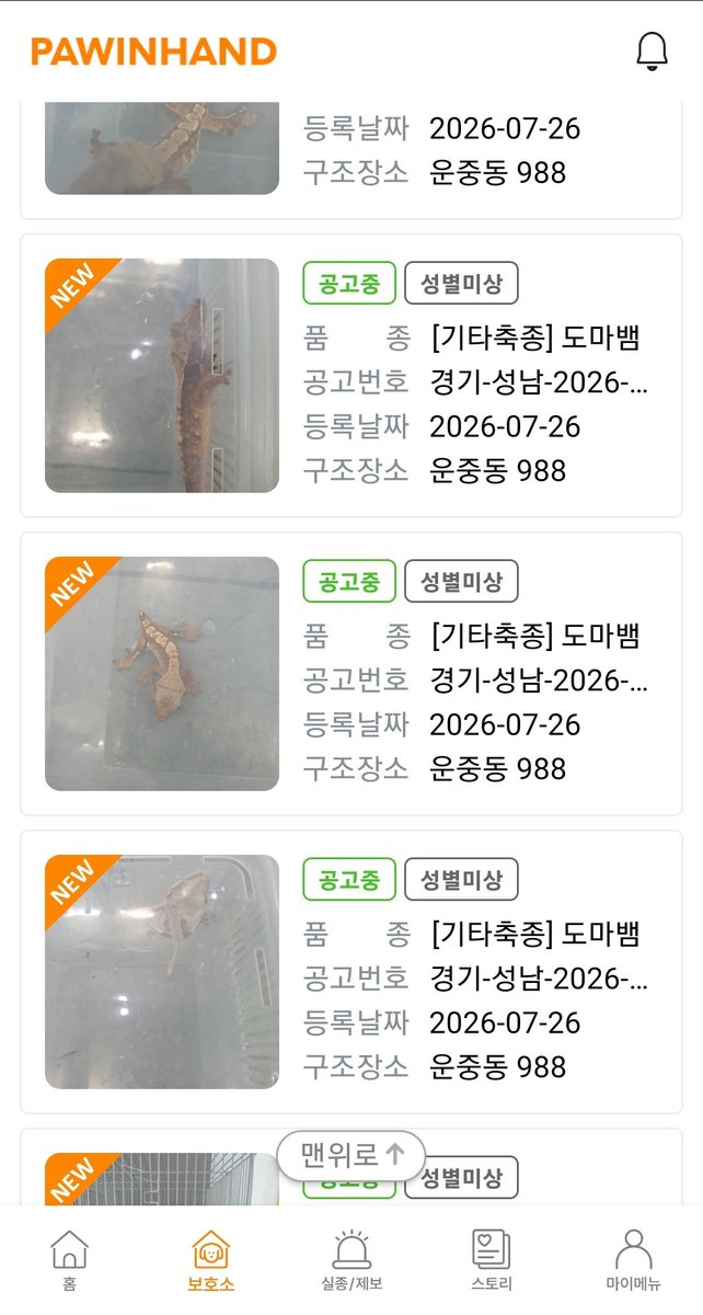 notsweet_sweety's tweet photo. 크레 7마리 유기된듯... 실수면 얼른 찾아갔으면좋겠다 https://t.co/JowEQrHOrH