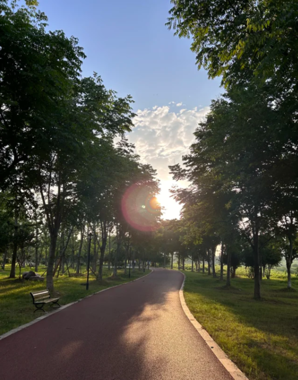 Lym219030's tweet photo. The feeling of going for a run early in the morning is just wonderful. In the park in the early morning, the sunlight shines through the leaves, and the air is so fresh that you want to keep running forever. https://t.co/vRZmC2YkIZ