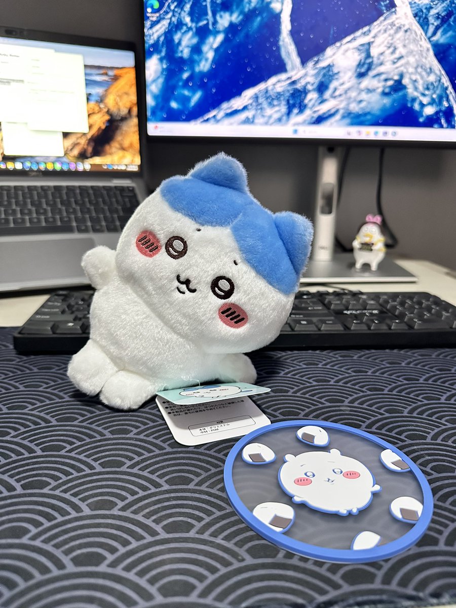 umizoomiy's tweet photo. btw i got my first hachiware plush yesterday plus the chiikawa coaster! hopefully will get more in the future https://t.co/Ak8Hhdt6mk