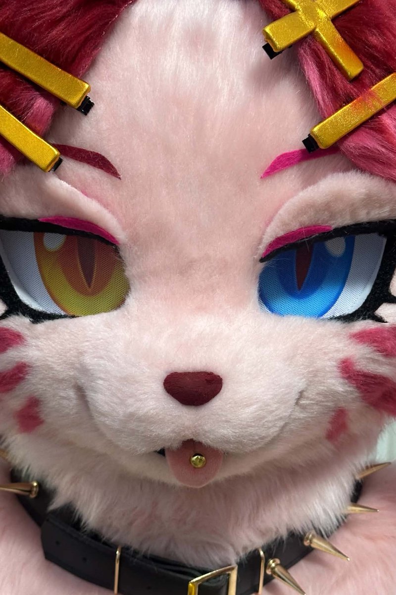 PPCAT_Fursuit's tweet photo. 還在做最後的處理...
等待完整揭露的那一天 https://t.co/yT8lj7oxQ1