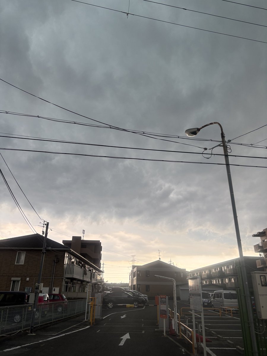 takeSEIKOTU's tweet photo. うわあ、空が暗くなったら雷と雨が降り始めました、 https://t.co/Kaxj1ejRXv