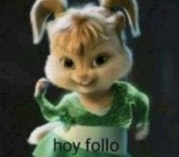 rodri tweet media