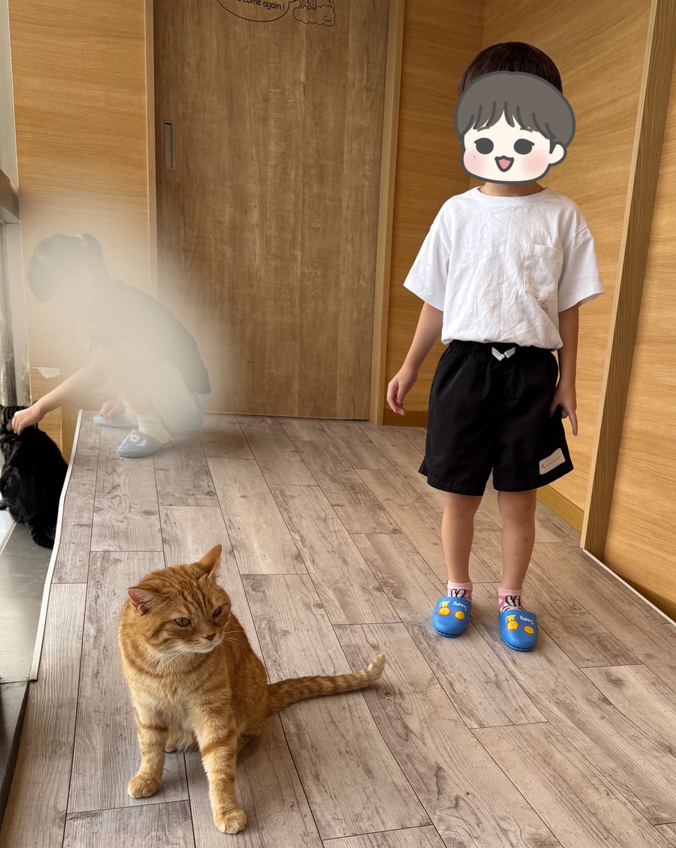 ma_ru37's tweet photo. 娘ちゃんが体操の間に息子と2人時間👦🏻✌️
動物さんが大好きなので触れ合えるところに行ってきたよ🐹🐱🐶
可愛かったし楽しかった〜💗 https://t.co/AYKTbgSbxm
