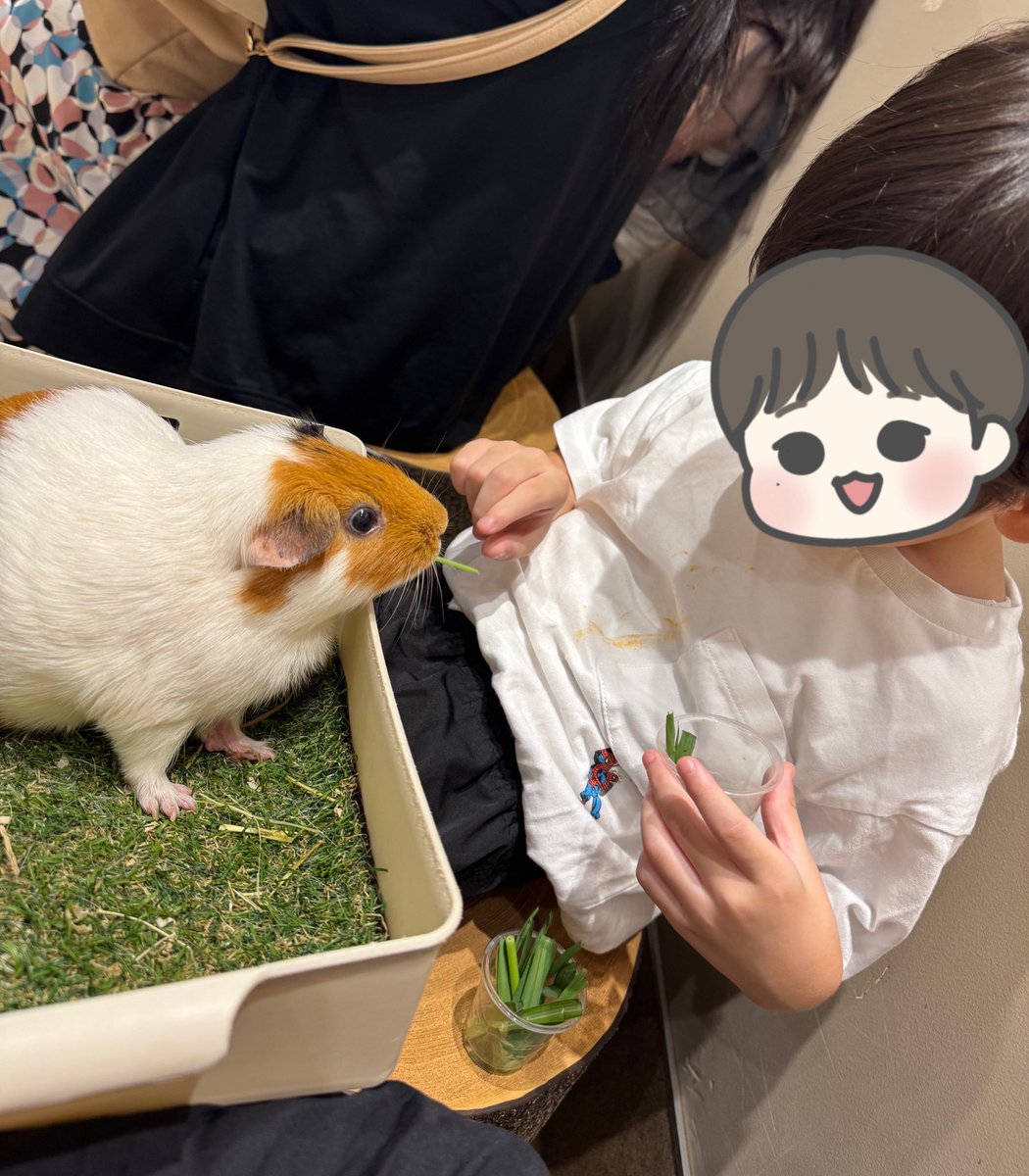 ma_ru37's tweet photo. 娘ちゃんが体操の間に息子と2人時間👦🏻✌️
動物さんが大好きなので触れ合えるところに行ってきたよ🐹🐱🐶
可愛かったし楽しかった〜💗 https://t.co/AYKTbgSbxm