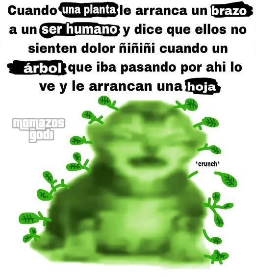 HellFan152497's tweet photo. buen día ahre que son las 3:32 de la noche https://t.co/6QDP5SvkYp