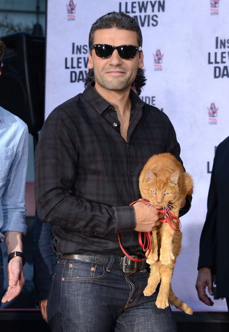 0asisupersonic's tweet photo. Oscar Isaac with a cat is something important to me 🤍 https://t.co/bIifmML0HR