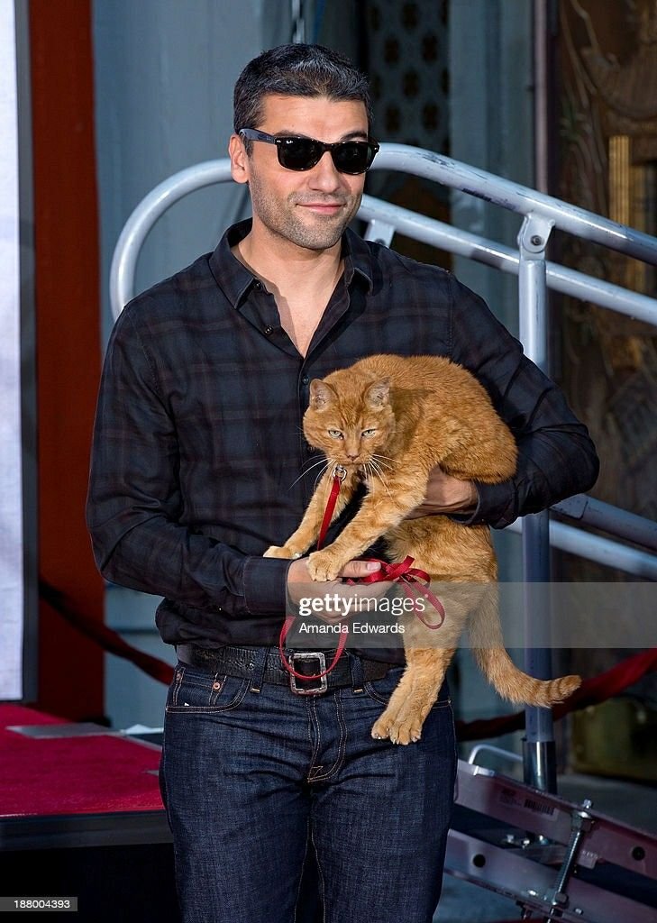 0asisupersonic's tweet photo. Oscar Isaac with a cat is something important to me 🤍 https://t.co/bIifmML0HR