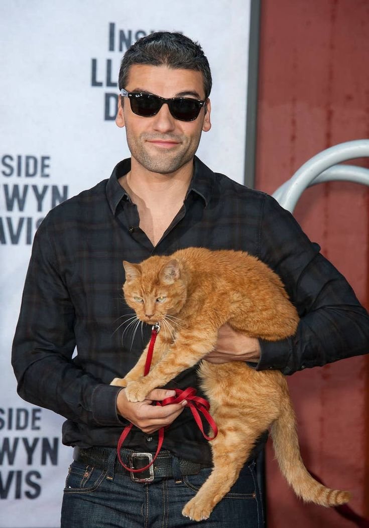 0asisupersonic's tweet photo. Oscar Isaac with a cat is something important to me 🤍 https://t.co/bIifmML0HR