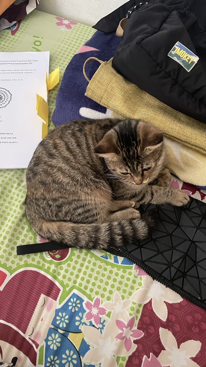 fiwraaa's tweet photo. bocahnya ikut campur bae
apa dia pengen skripsian kah? https://t.co/w0cCPpERNQ