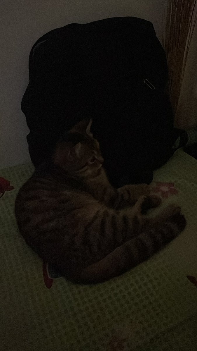 fiwraaa's tweet photo. bocahnya ikut campur bae
apa dia pengen skripsian kah? https://t.co/w0cCPpERNQ