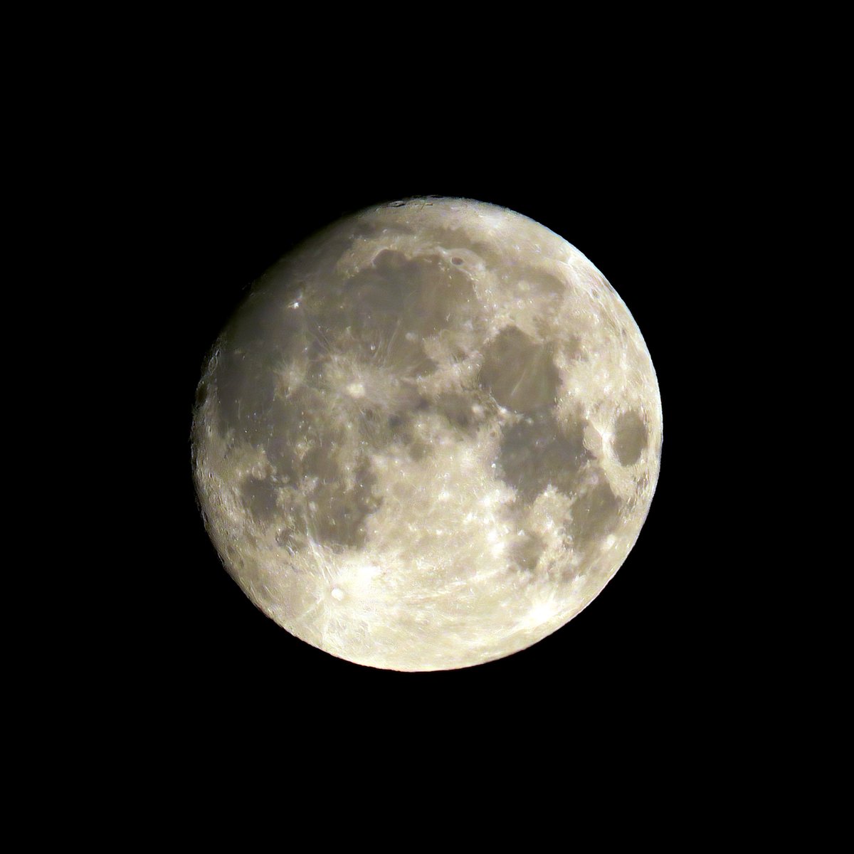 GloekSH's tweet photo. 📷 Canon SX 540 HS https://t.co/5EQwQNpxMi