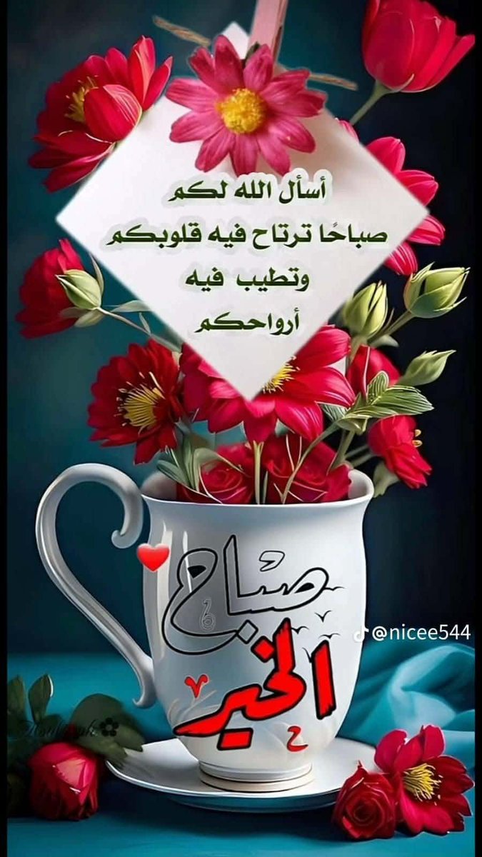 alsaaadi18's tweet photo. @rashid29634182 https://t.co/6XoQe4dS3c