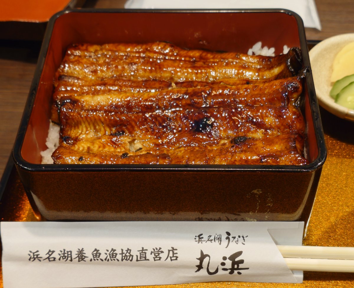 hide2246's tweet photo. 名古屋仕事終わって浜松へ😀
鰻食べました！😁丸浜😍
めちゃくちゃ並んでて時間ずらして昼食🫠
脂のってます🪸

暑い🫠バテた🫪 https://t.co/zrcbYQh3Pb