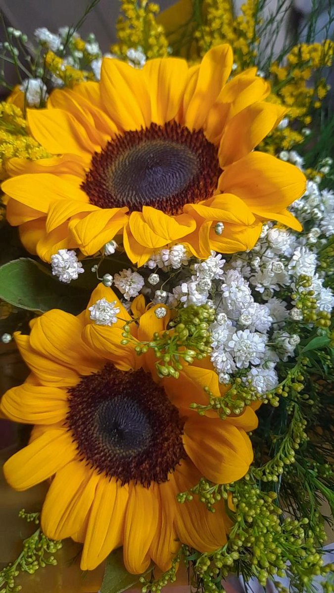 Solara786's tweet photo. Beautiful 🌻 https://t.co/Zg3WqqNG9m