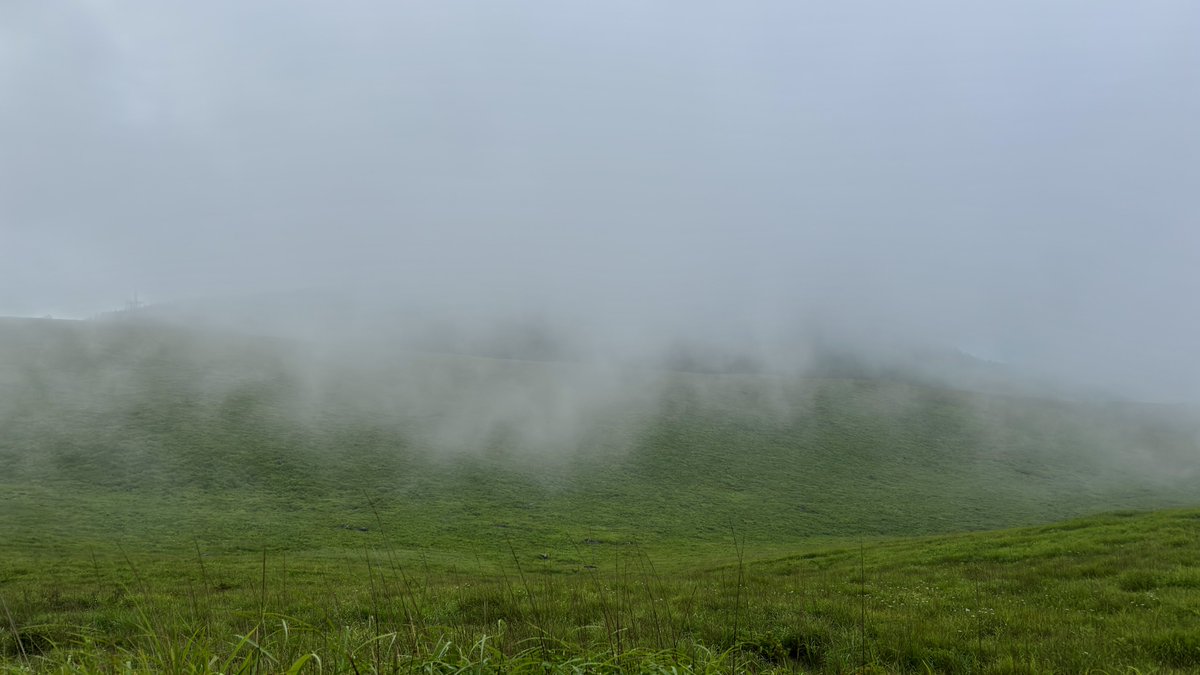 Nature Sound Effect : miduno tweet media