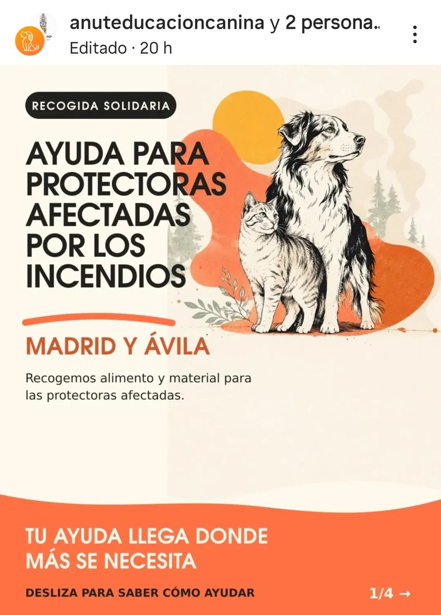 areagossosbdn's tweet photo. 🚨🚨 AYUDA SOLIDARIA 🚨🚨
La asociación ANUT Educación Canina ha organizado una recogida de alimentos y otros artículos necesarios, para los animales afectados por los incendios de #Ávila y #Madrid
Contacto en el post ⬇️
Máxima difusión
📣📣📣
#ayudasolidaria #animalesenapuros https://t.co/8aRT8VXwWa