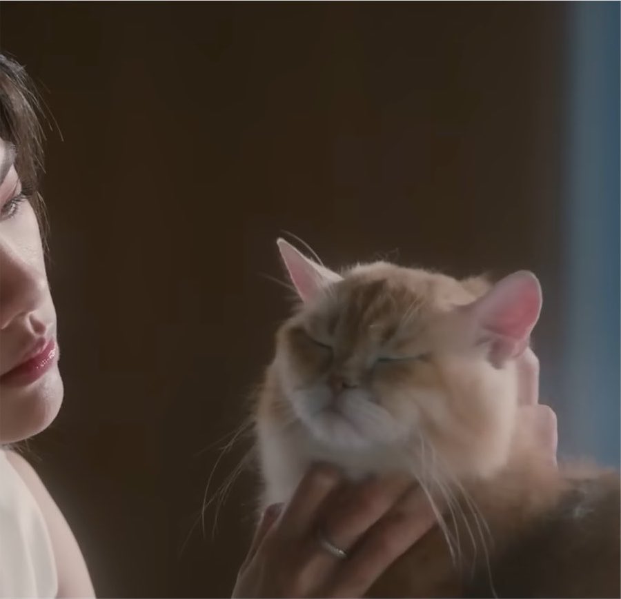 imwortxr's tweet photo. ไหนน้องคีย์ไหนซิมบ้า https://t.co/Agi8qFPqj2