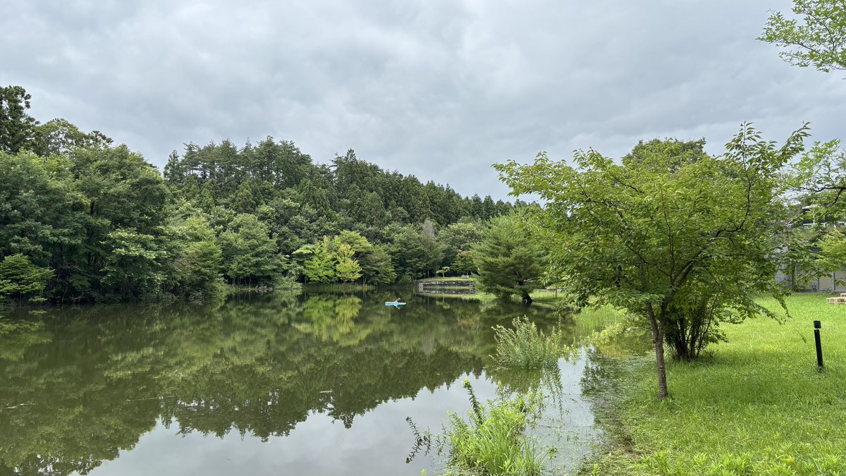 MSPR_Yeah's tweet photo. これは宮城大学の水没林です
※連日の大雨で増水しただけです
※7/27(火)撮影 https://t.co/2cfZuktJeP