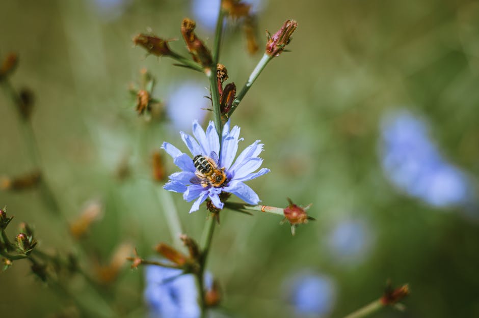 MarianneBeayte's tweet photo. هذا المقال القراءة. في هو النجاح يديك متناول مع تصميمك. daysi errera🐞 https://t.co/sj9upbcSK7