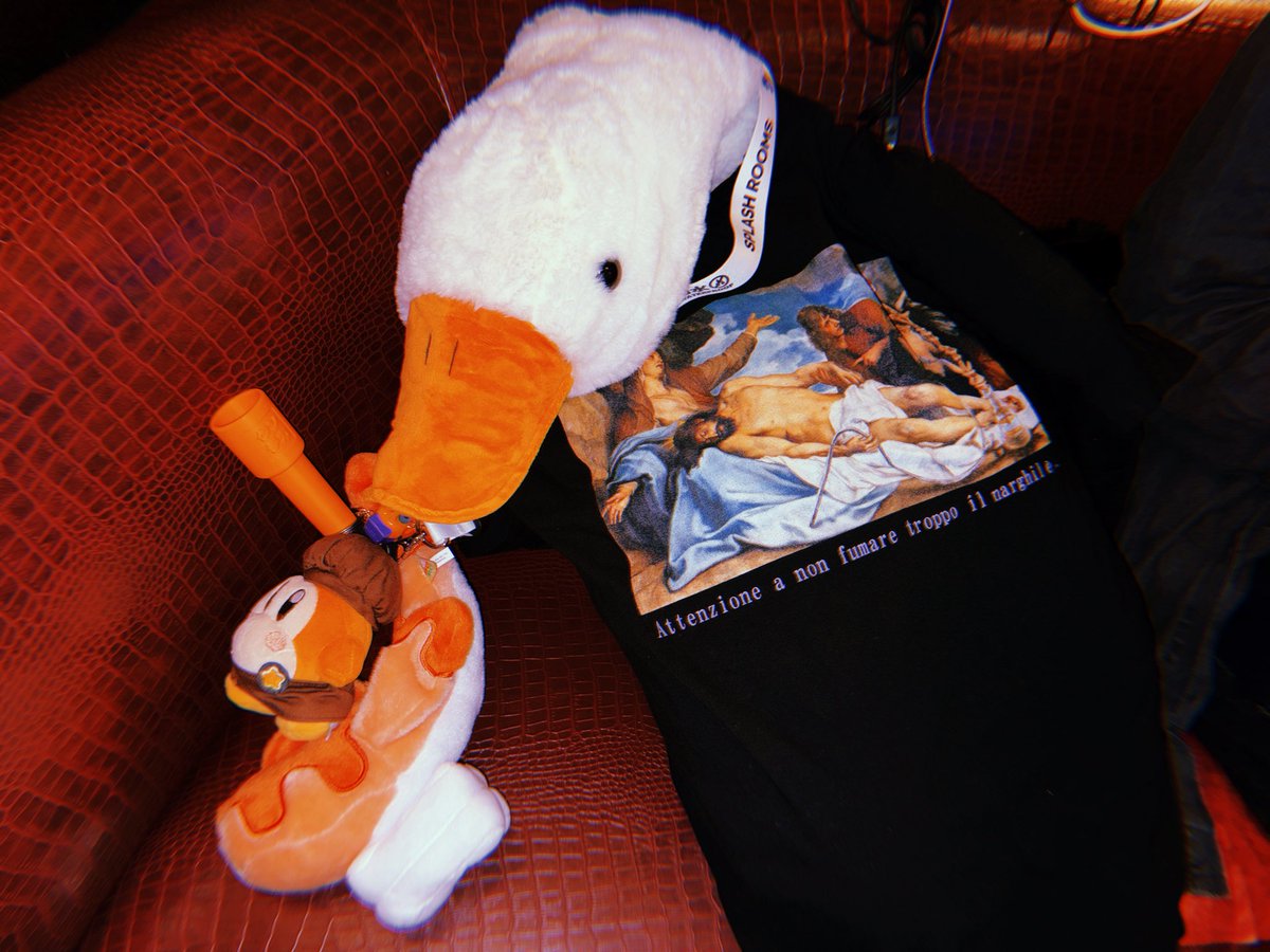 tamatepl's tweet photo. chillガチョウ🪿酸欠なるなよ https://t.co/sDi0jQOC06