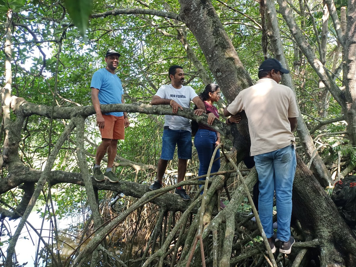 dilrajnp's tweet photo. #WorldMangroveDay , let's turn it into a Mangrove Heritage Park.

Come for the tour with GDM Mangrove Tours. Stay to invest in the future.

Interested parties — take note. https://t.co/cjQqCzs6r9