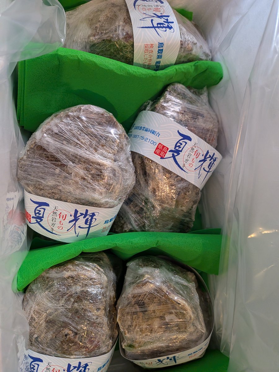 mettes_'s tweet photo. とうとう届いた！最高峰牡蠣ブランドの夏輝！！
一個一個が手のひらにおさまらないくらいでかーーい！
食したけど海のミルクとはこのことか！
1個2000円は伊達じゃないぜー！ https://t.co/E0iWjcJC2p