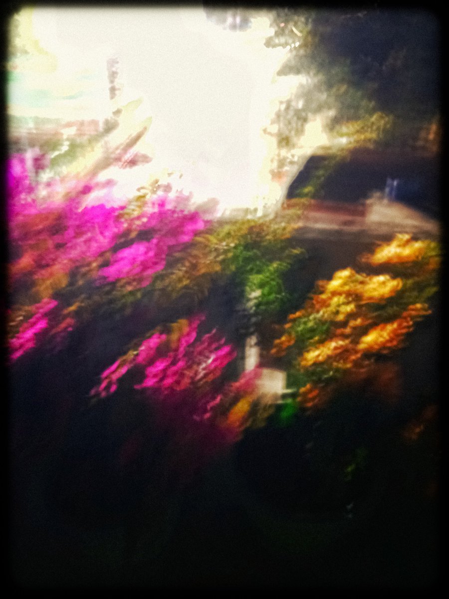 pics_el's tweet photo. call me a painter https://t.co/Lo95uHj3pk