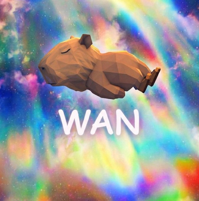 CATonRH's tweet photo. $WAN coin and a dream https://t.co/KZGYRKw3mK