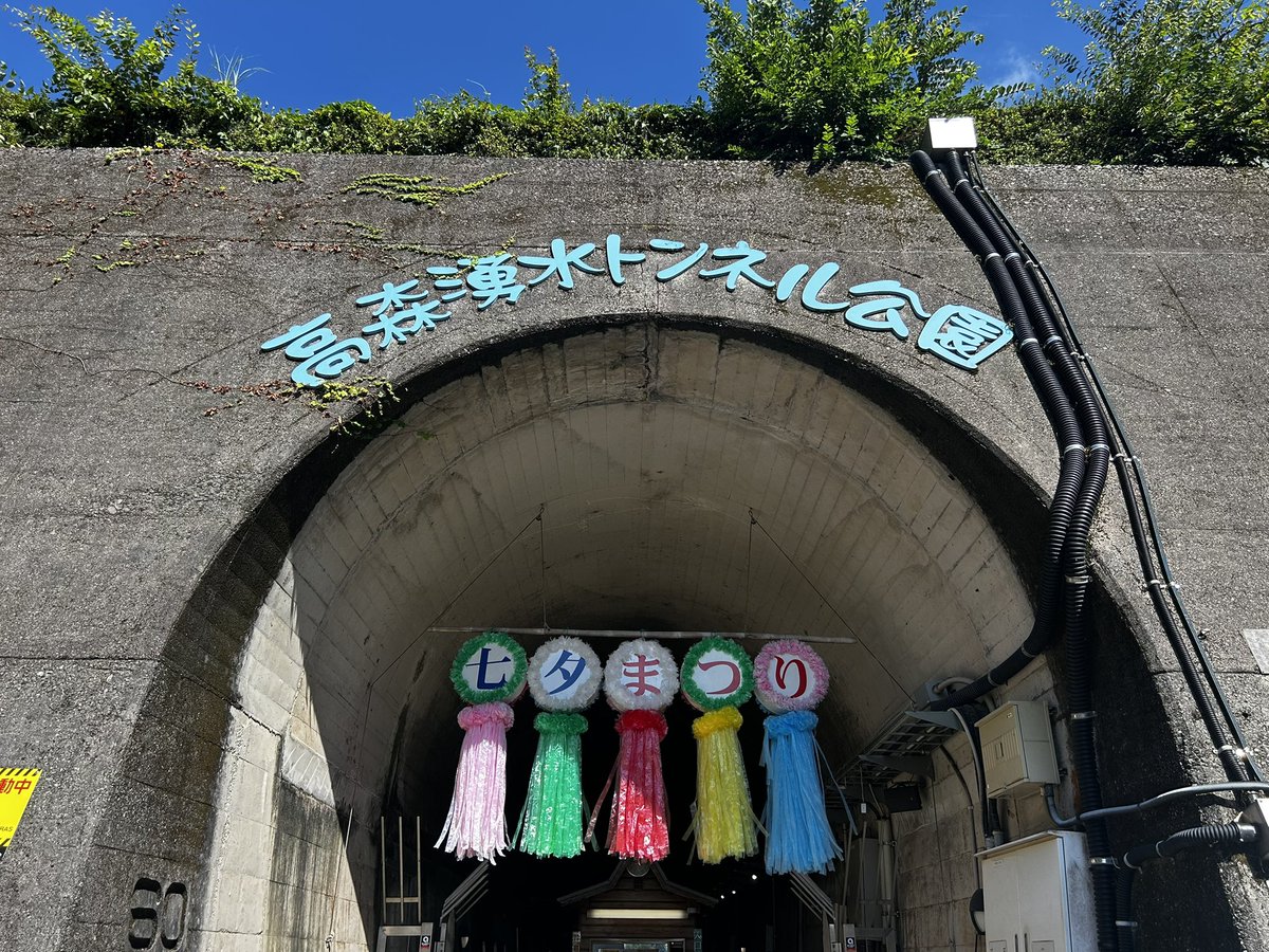pekpekpekmi's tweet photo. 高森湧水トンネルいったら
ペックルいた💙💛 https://t.co/du2unLJI8H