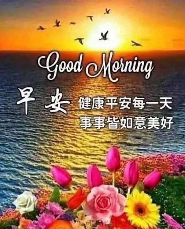 ChooTecksoon1's tweet photo. @jazzlll 聊可以啊🙋🏼💐🌹☕ https://t.co/CluFlElqOF