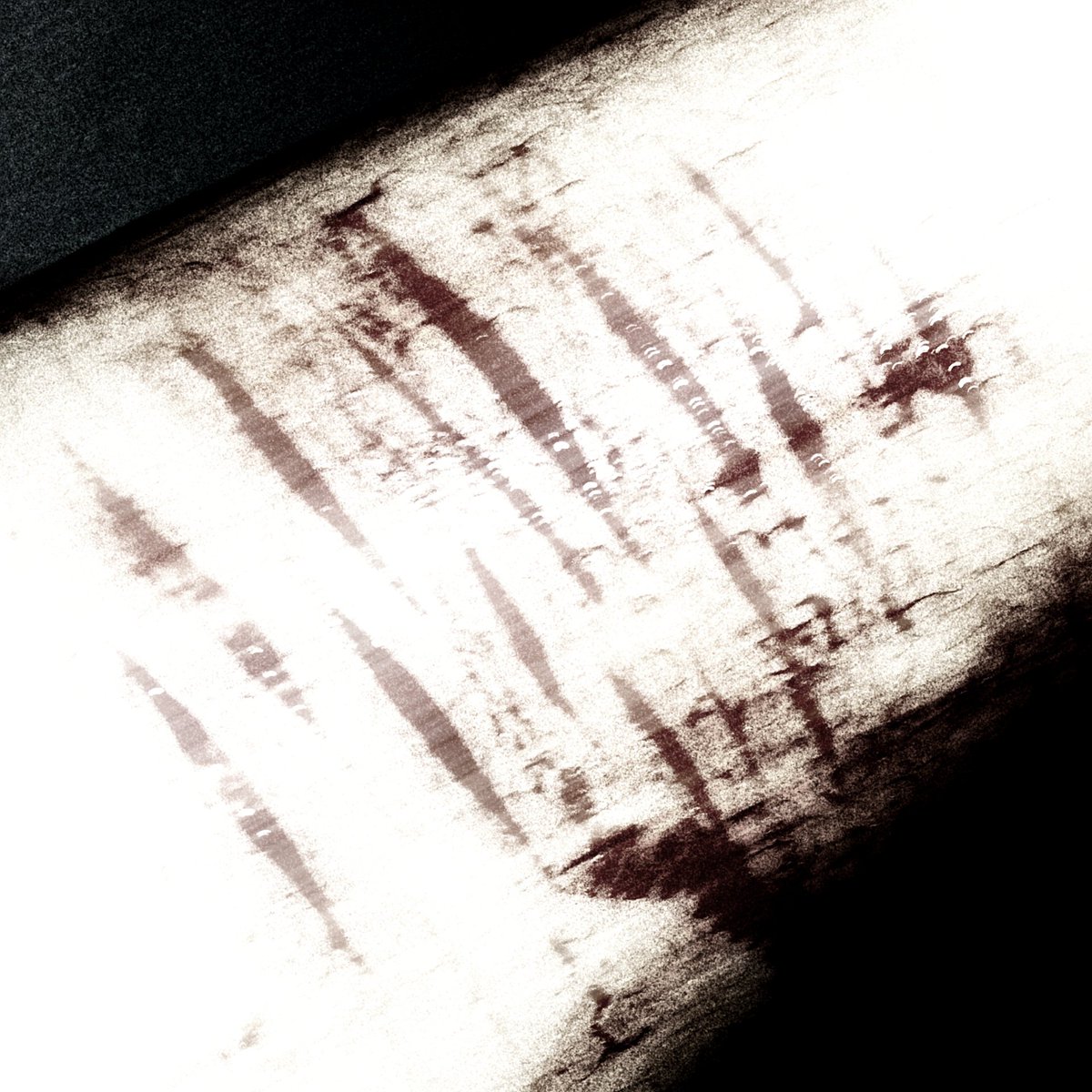 dzamnok's tweet photo. Is this tuff?

¡⚠️FAKE FAKE FAKE ALL FAKE, SFX, REALISTIC HALLOWEEN ART EDIT ENHANCED WITH AI NONE OF THIS ARE REAL⚠️! https://t.co/POwTucfeht