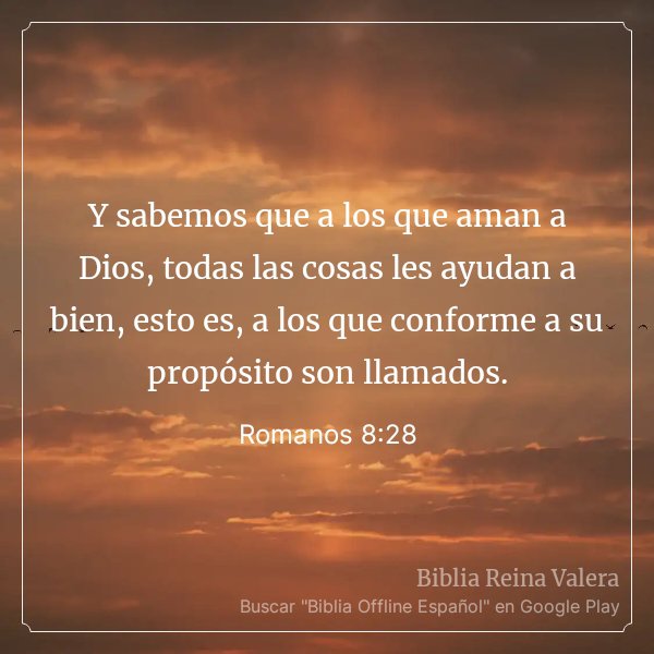 HdMarcelino's tweet photo. Amen https://t.co/gXty7HtUn4