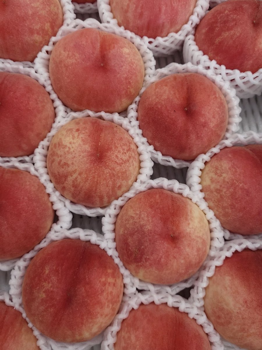 dateppc's tweet photo. 昨年好評だった福島の桃🍑
とっても大きくて、とっても美味しかったですよね♪

今年も物産館にやって来ます
品種はあかつき✨
明日7/29(水)入荷予定です♪
※天候により入荷が遅れることがございます

数量限定！ぜひっ！
#北海道伊達市
#桃
#あかつき https://t.co/sPAdZxPdls