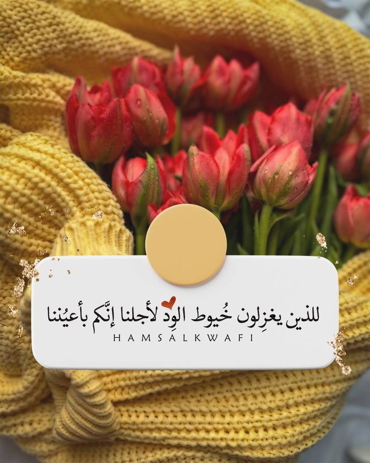 anfalAli772's tweet photo. الرُقي ..
طبع لا يحتاج إلى تعلم أو تصنع،
بل هي روح أختارت أن تكون راقية بأفعالها وتصرفاتها وسلوكها،
كلما كنت راقياً كلما أحتوتك القلوب ،حتى إذا تصنعت القسوة مع البعض، ستعود إلى رقيك وطبعك وروحك الطيبة 🌼🤍

#صباح_الخير_والسعادة https://t.co/aghSIpN09t