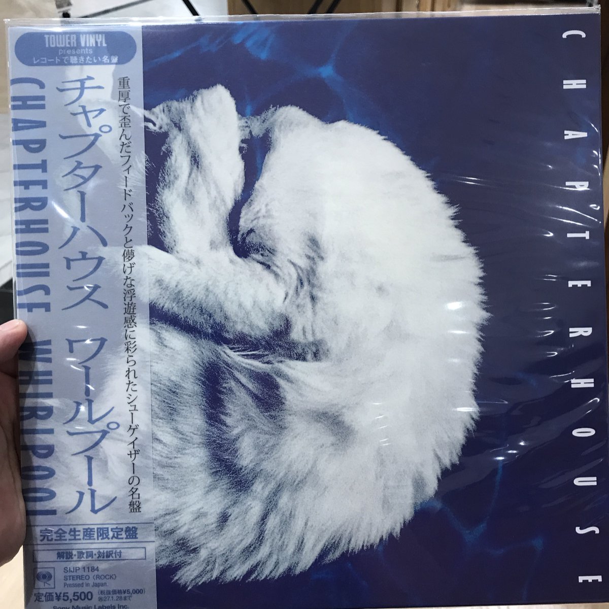 HMV record shop 心斎橋 on X: 